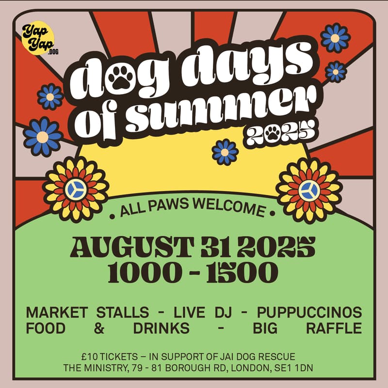 Cover Image for Dog Days of Summer