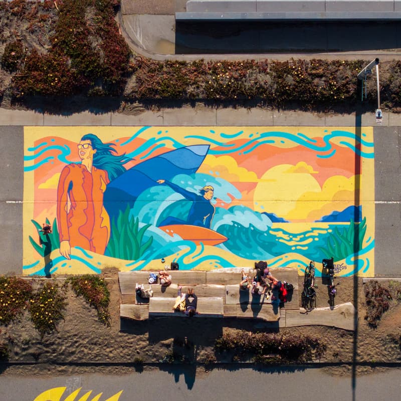 Cover Image for Plover Party