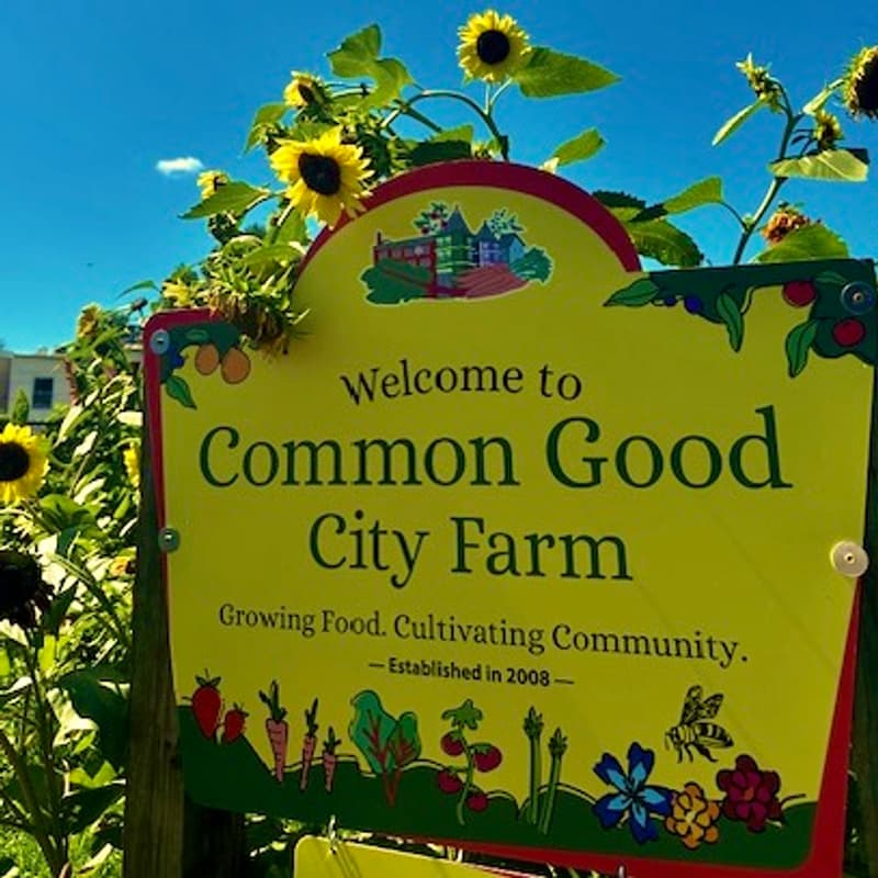 Cover Image for Seedling Celebration