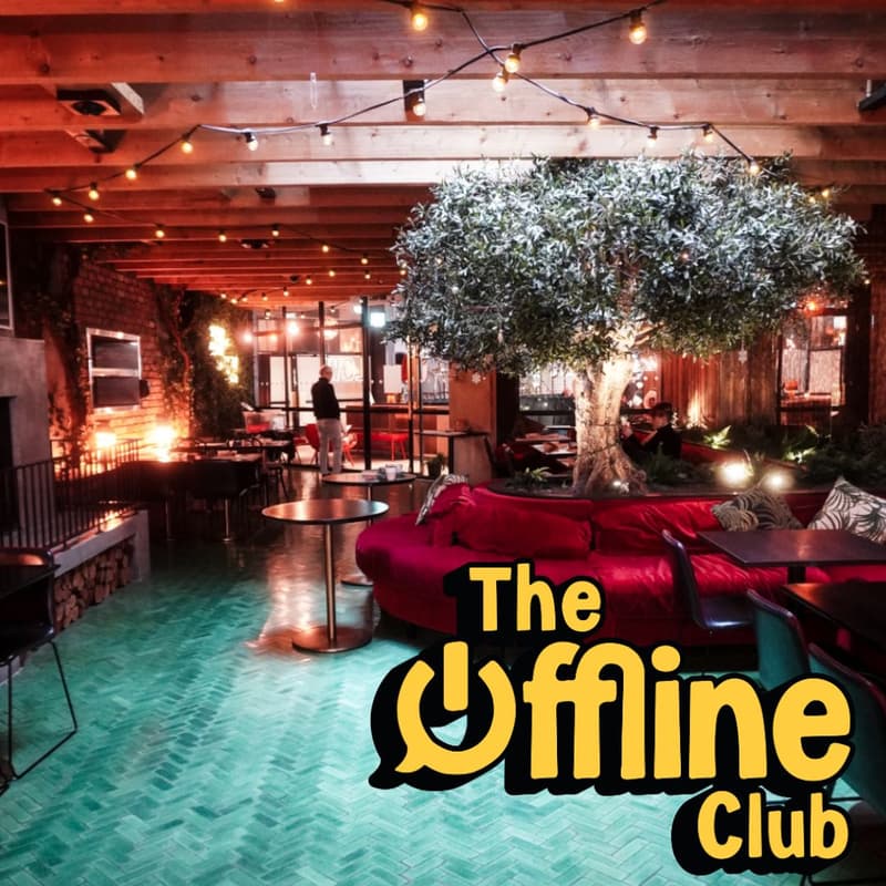 Cover Image for Offline Hangout 📵 (board & card games Sunday) | Marlin indoor garden