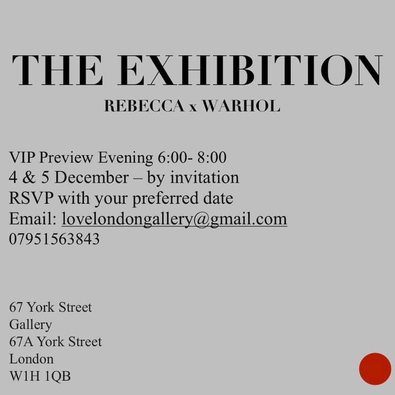 Cover Image for The Exhibition - Rebecca x Warhol