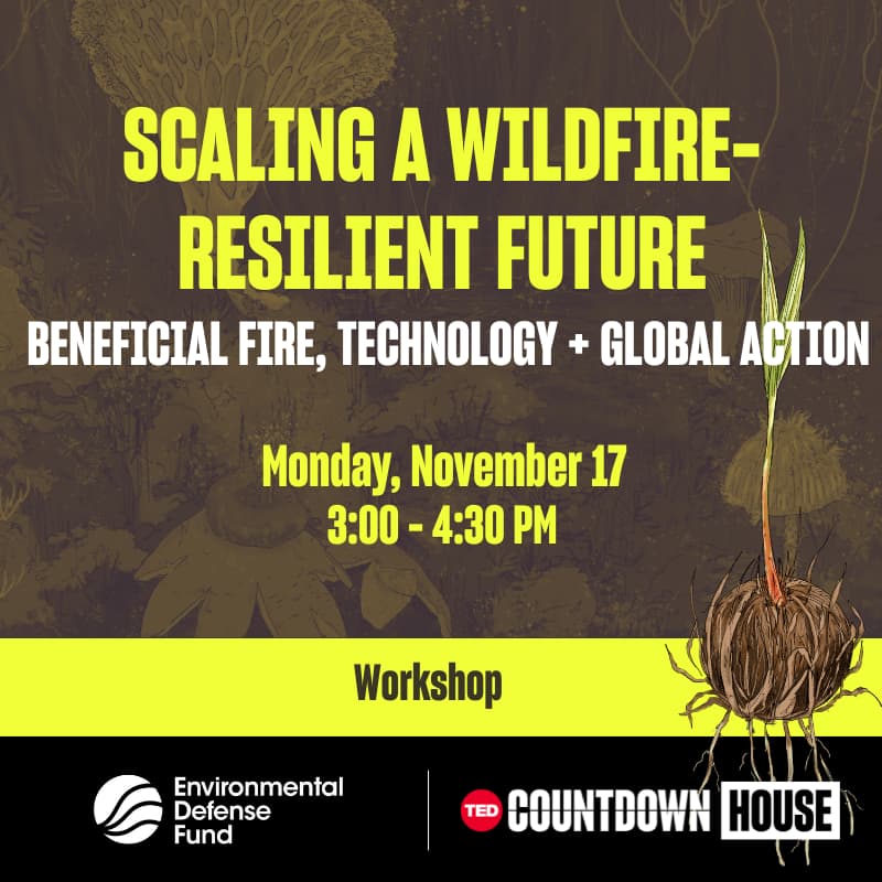 Cover Image for Scaling a wildfire-resilient future: merging tradition, tech, and global action