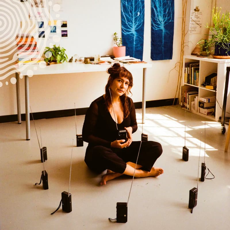 Cover Image for Rhizome