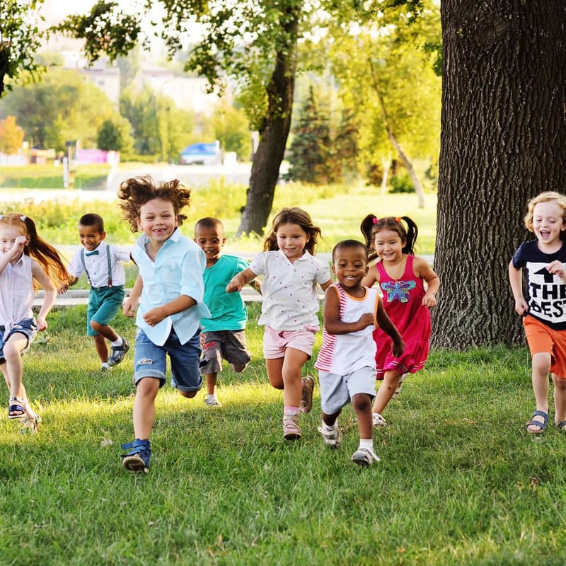 Cover Image for Creating Nurturing School Environments: Emotional Well-being, Active Learning, Nature, and Uninterrupted Play for Young Children