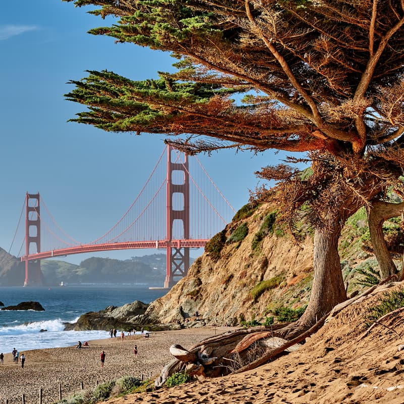Cover Image for AI/Data Hike Around Lands End, Followed by Lunch!