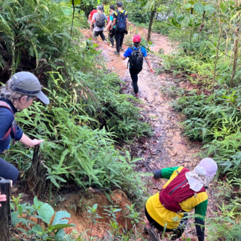 Cover Image for Bukit Melati - Nilai - Rating IBP 37