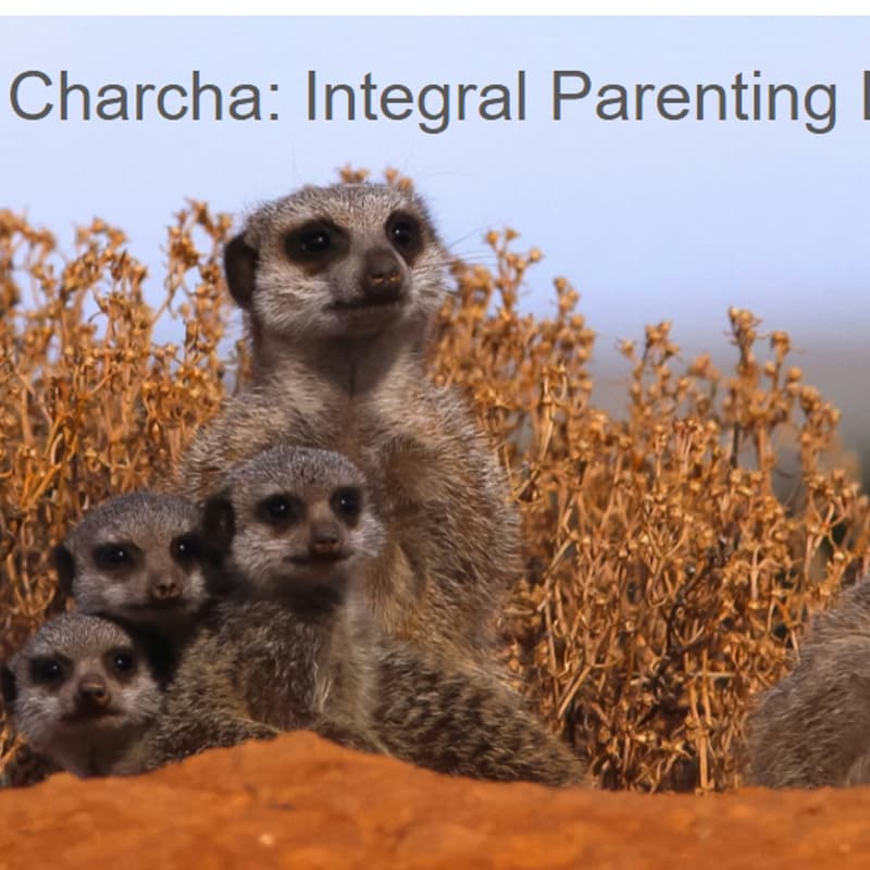 Cover Image for Chai Pe Charcha: Integral Parenting Dialogue