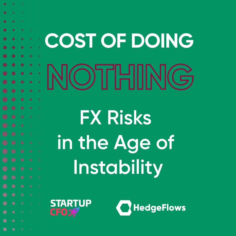 Cover Image for The Cost of Doing Nothing: FX Risks in the Age of Instability