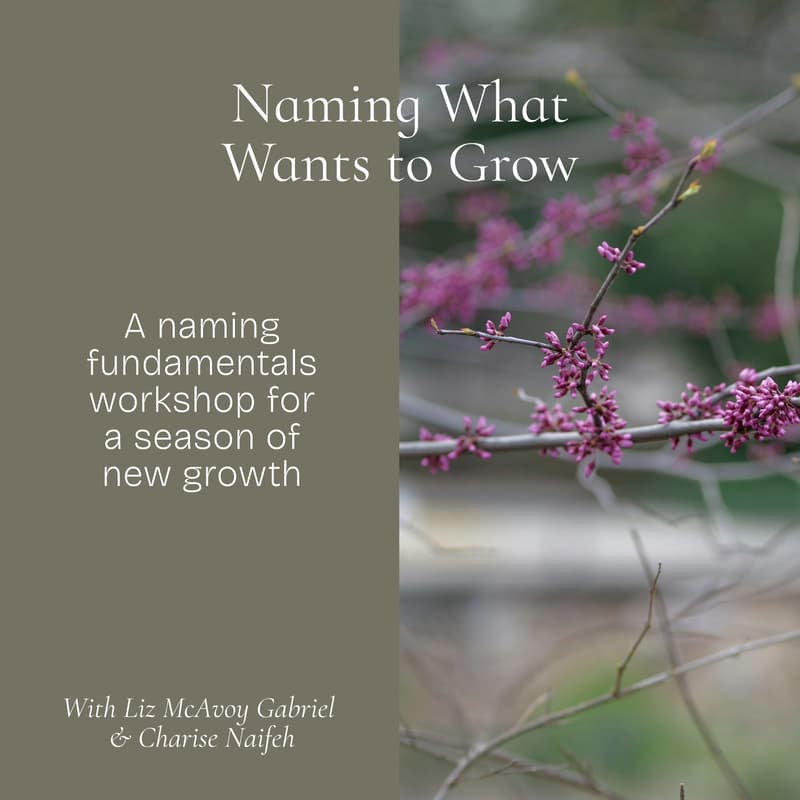 Cover Image for Naming What Wants to Grow | A Naming Fundamentals Workshop with Liz McAvoy Gabriel & Charise Naifeh