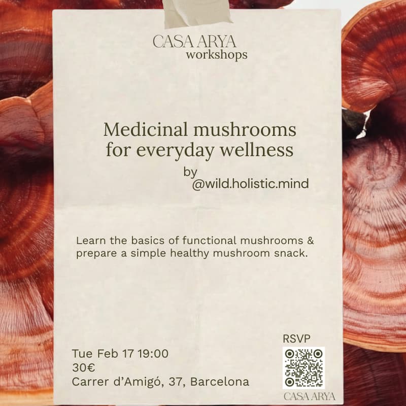 Cover Image for Medicinal Mushrooms