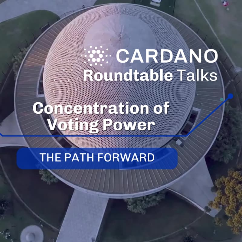 Cover Image for Roundtable Talk - Concentration of Voting Power: The Path Forward