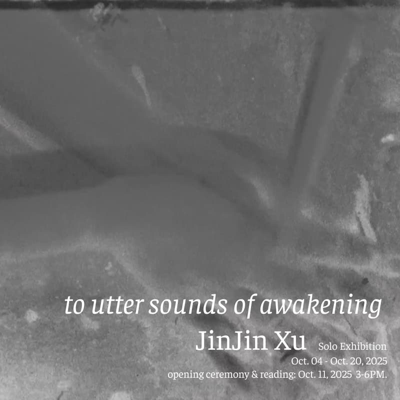 Cover Image for to utter sounds of awakening JinJin Xu Solo Exhibition Opening Ceremony