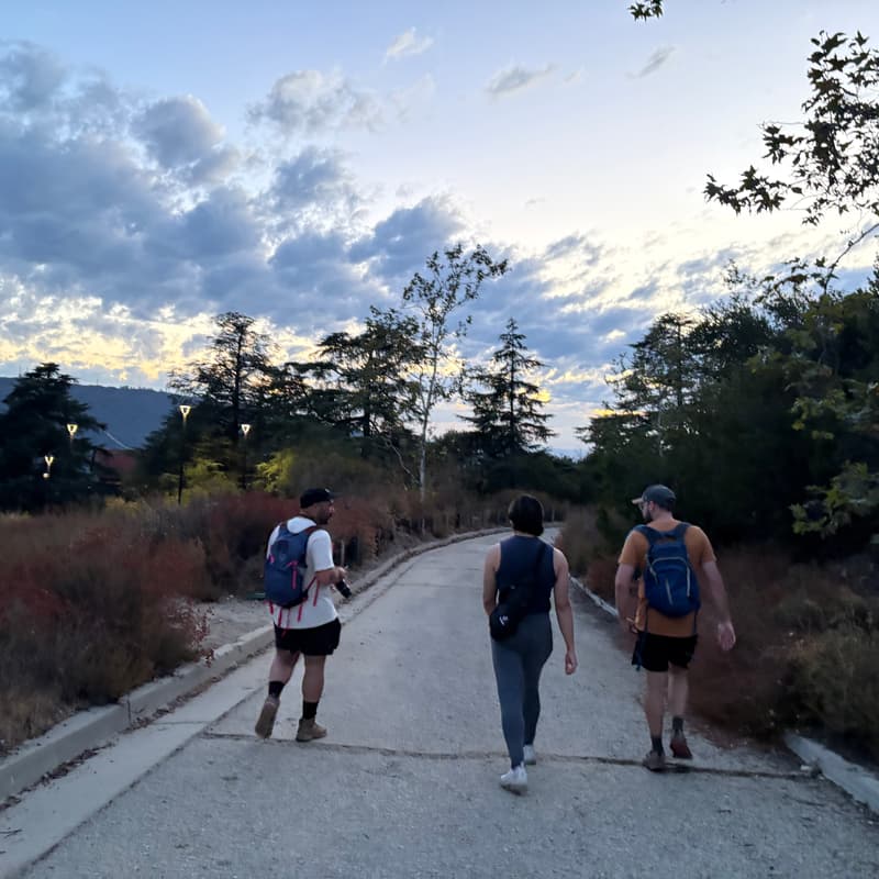 Cover Image for Queer Sunset Porcupine Stroll: New Mexico