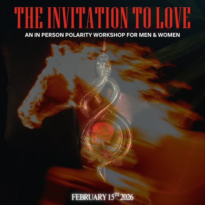 Cover Image for The Invitation To Love
