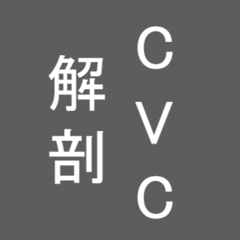 Cover Image for 【CVC”解剖”シリーズ】MOL PLUS（商船三井）×パナソニック（5/28木）