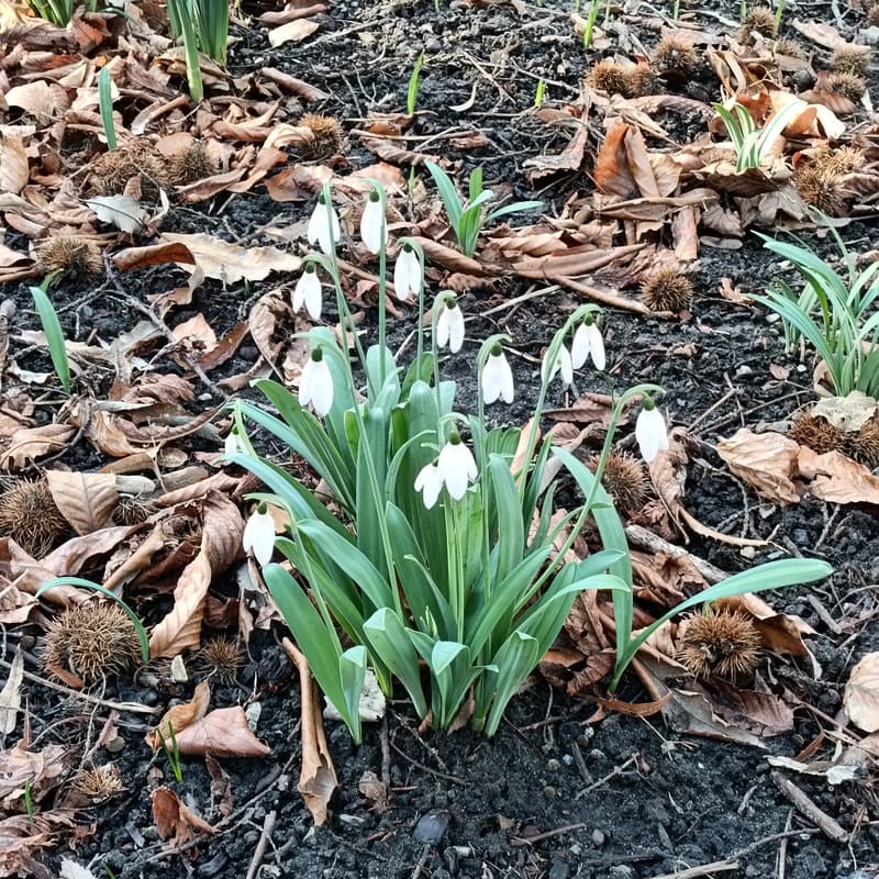 Cover Image for Uitleg over Home Exchange tijdens een kop koffie of thee