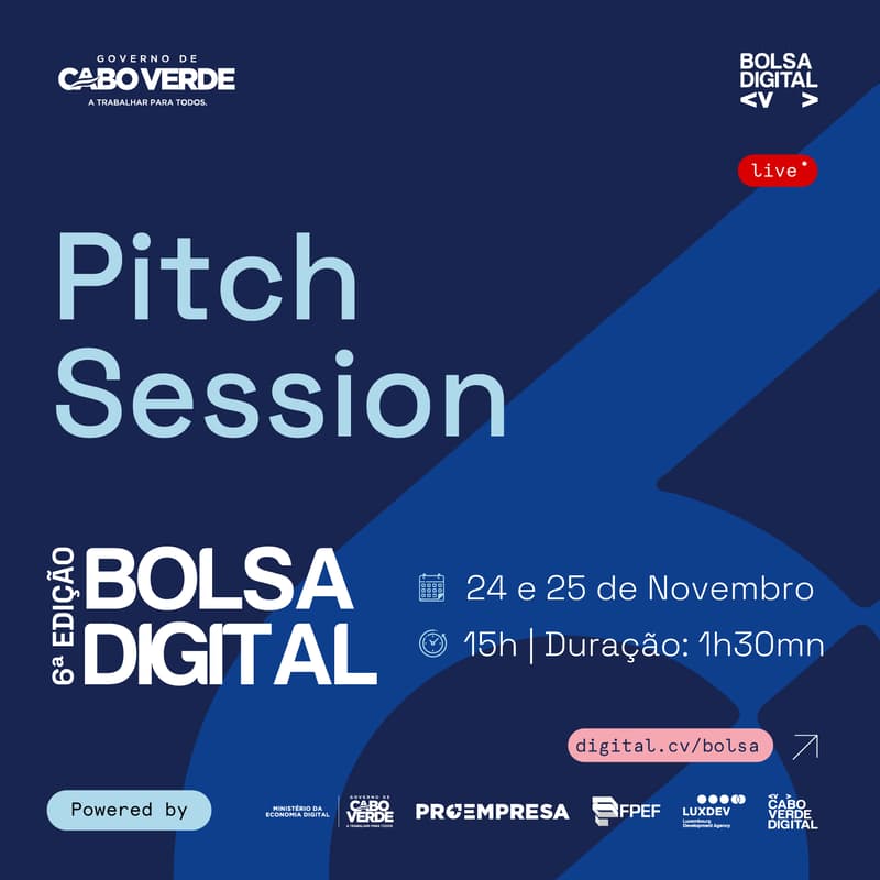 Pitch Session · Zoom · Luma