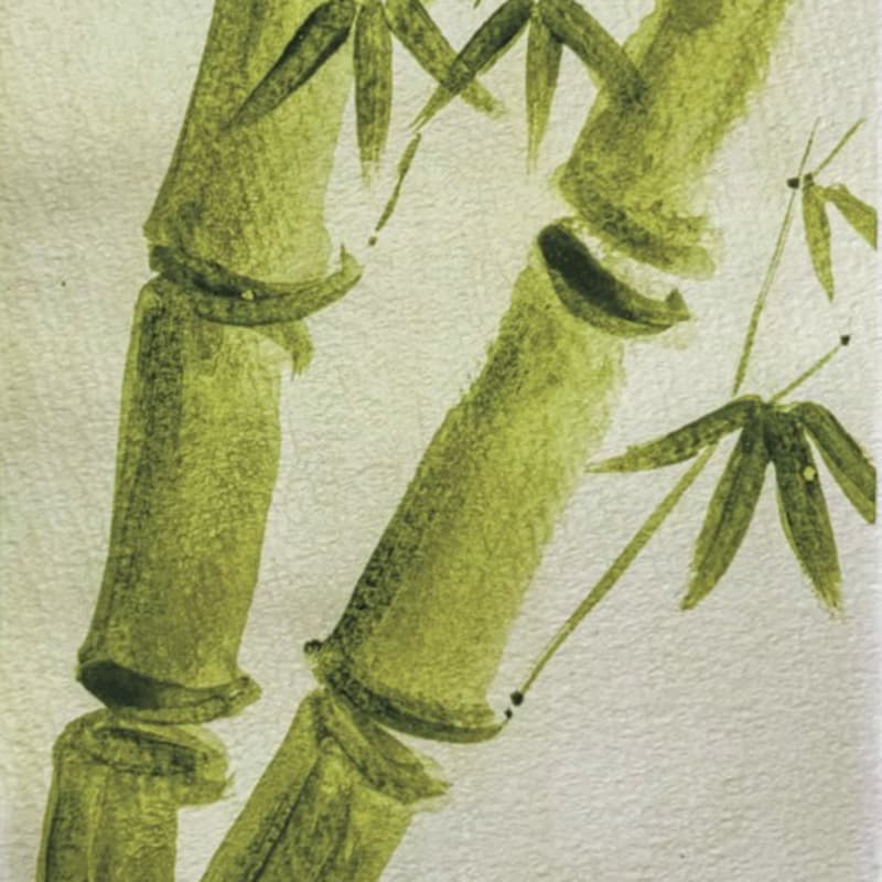 Cover Image for Watercolor Workshop Using Matcha @ Fuglen Sentrum, Oslo