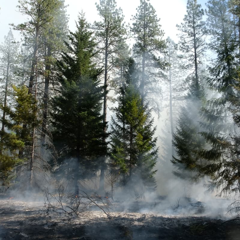 Cover Image for Smoke Preparedness Workshop
