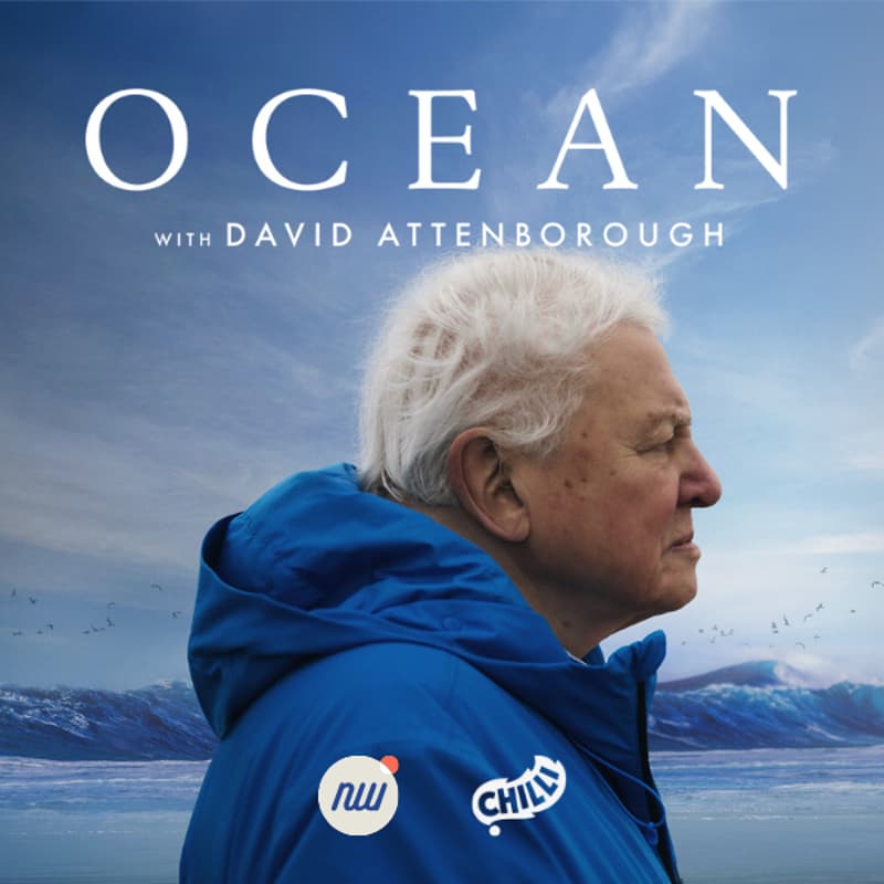 Cover Image for "OCEAN with David Attenborough" – Special NY Climate Week Screening