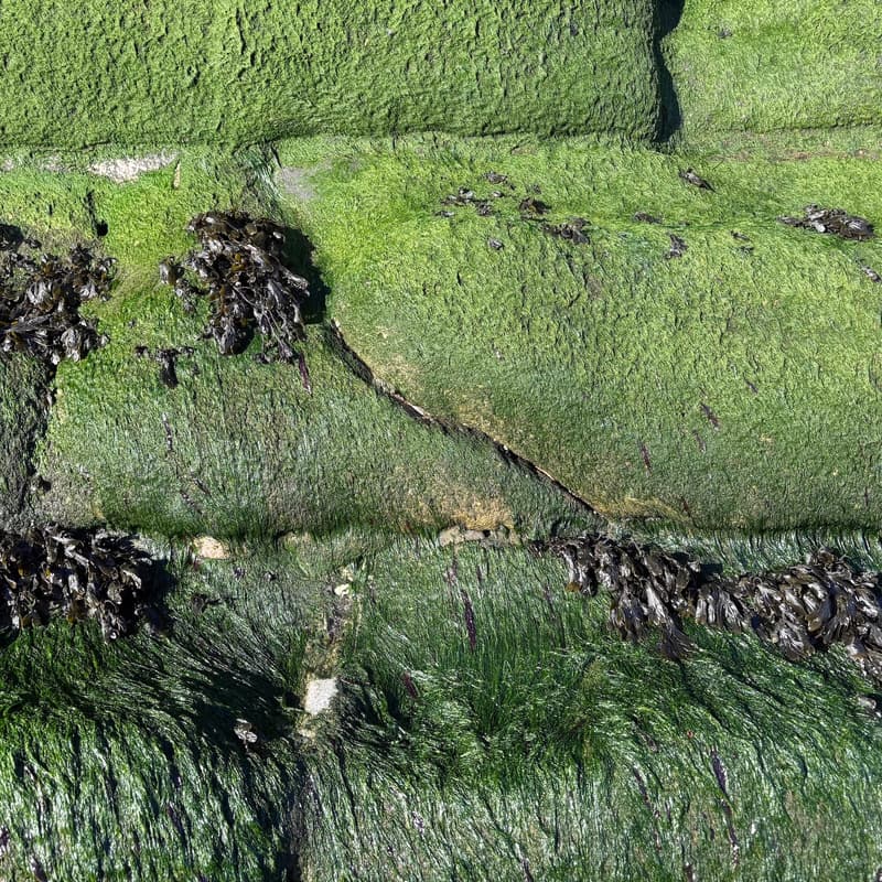 Cover Image for Reading Group 4: The Liquified State (A Thousand Wet-Lands)