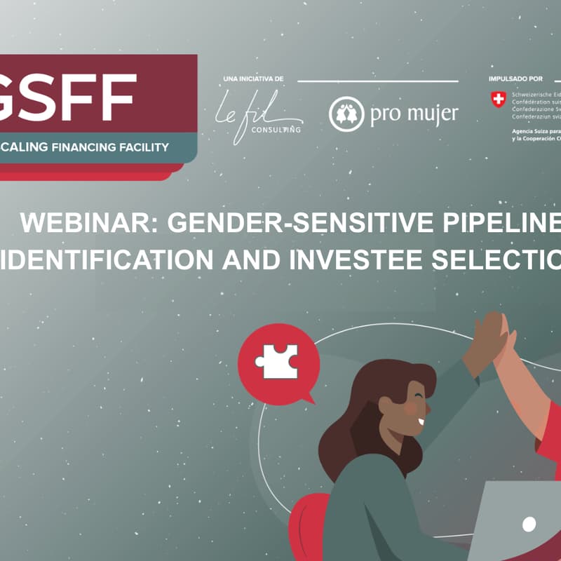 Cover Image for Webinar invitation: Gender-sensitive pipeline identification and investee selection