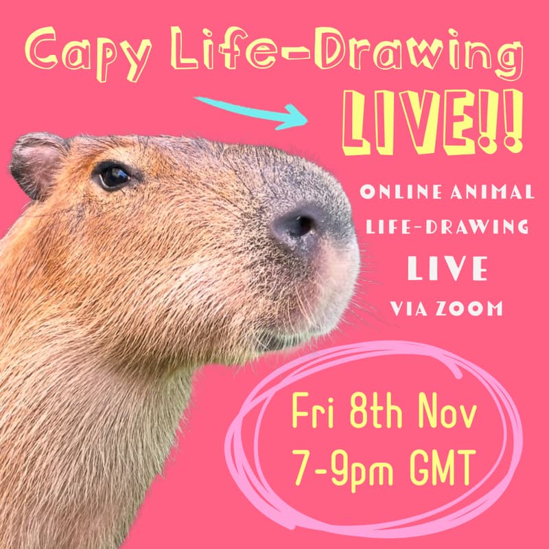 Cover Image for Capy Life-Drawing - LIVE!