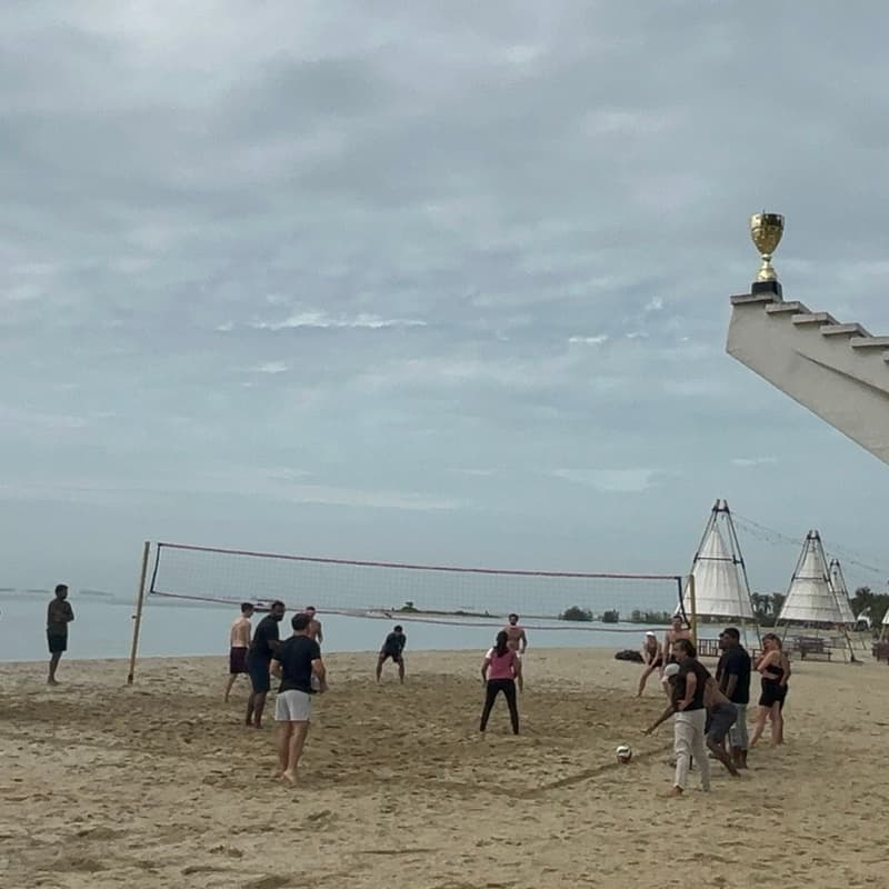 Cover Image for NS Cup