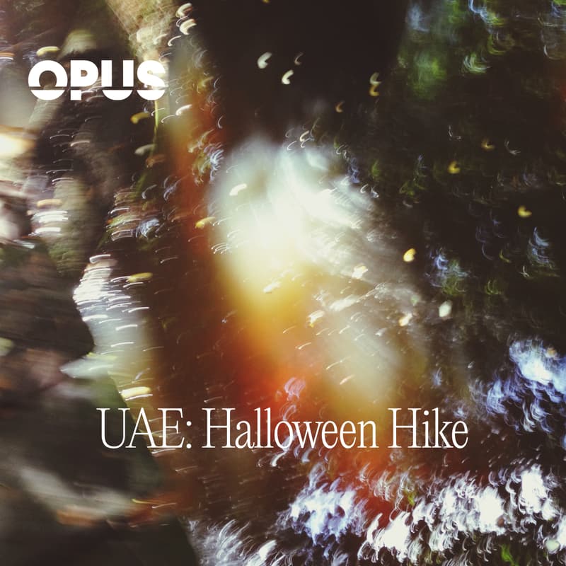 Cover Image for UAE: Halloween Hike