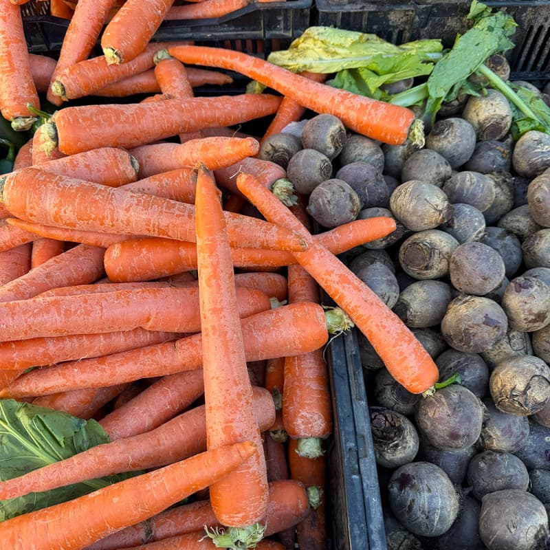 Cover Image for 🍊 Wellness Wednesdays - Open Registration