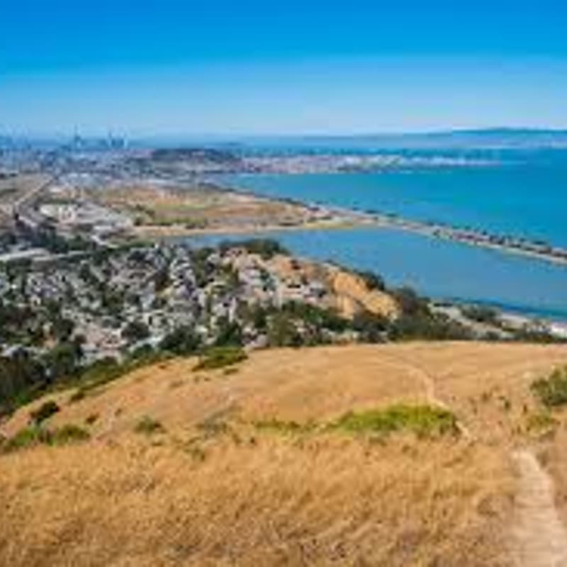Cover Image for Bay Area Life Science Hikers- November Edition