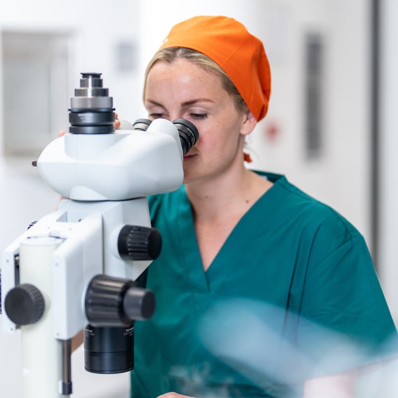 Cover Image for Register for All Webinars