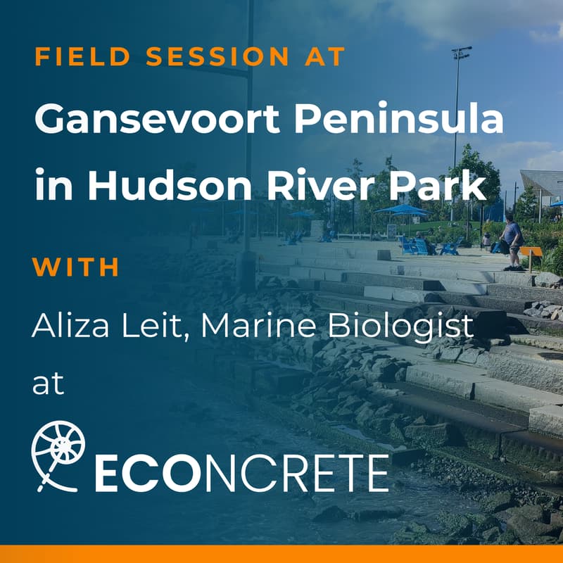 Cover Image for Field Session: Reimagining Urban Waterfronts for Ecological Outreach & Resilient Communities