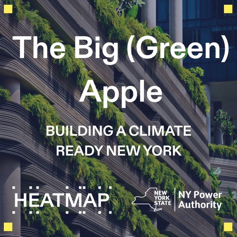 Cover Image for Heatmap House: The Big (Green) Apple