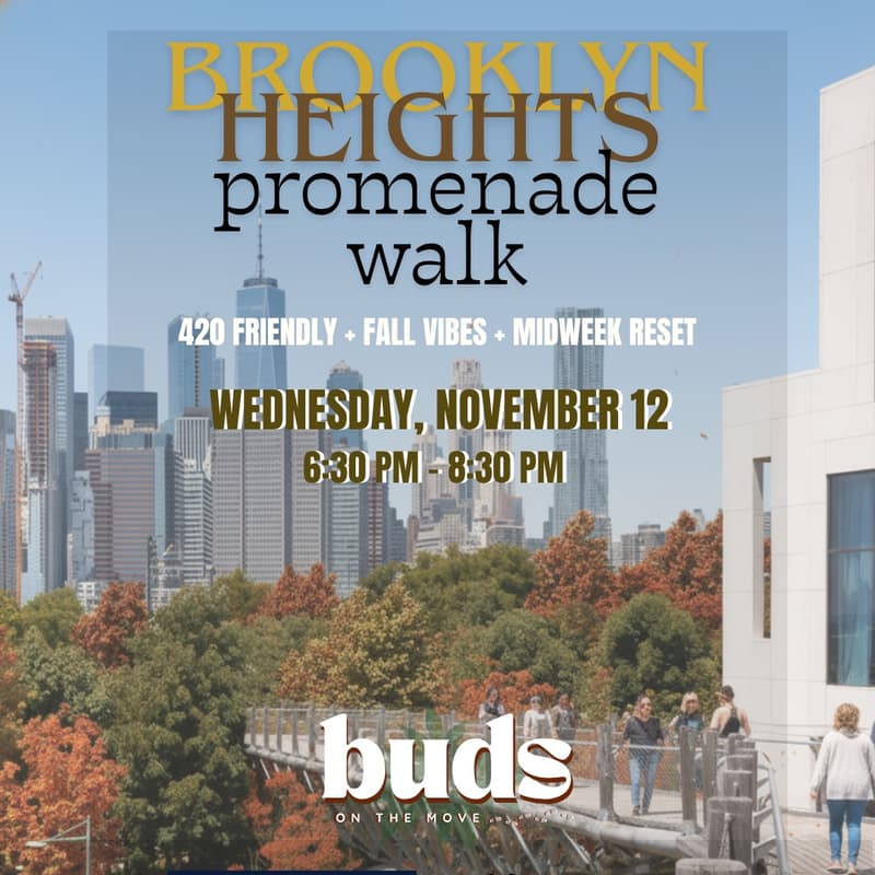Cover Image for Brooklyn Heights Promenade Walk