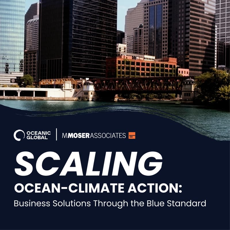 Cover Image for Scaling Ocean-Climate Action: Business Solutions Through the Blue Standard