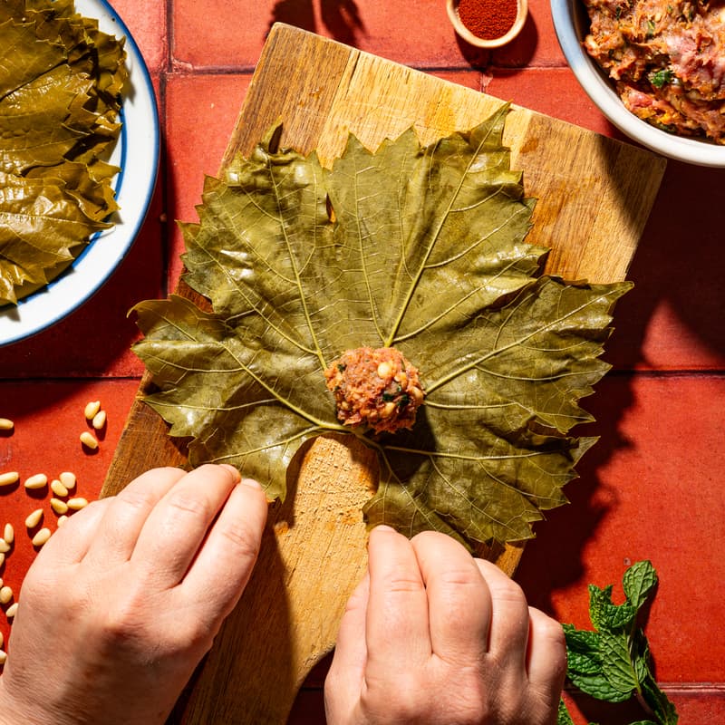 Cover Image for Grape Leaf Harvest & Dolma-Making Workshop