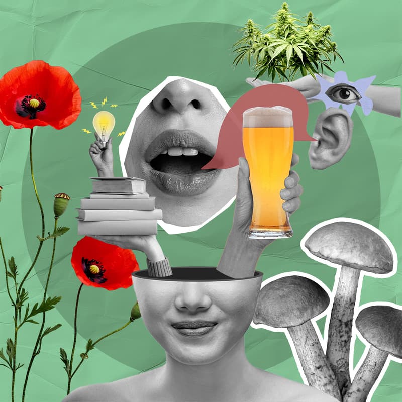 Cover Image for Pintology | Stupefacenti, Sacre, Maltrattate: le Piante che sapevano troppo