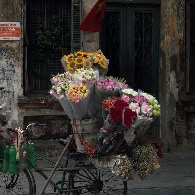 Cover Image for Basics of Editing