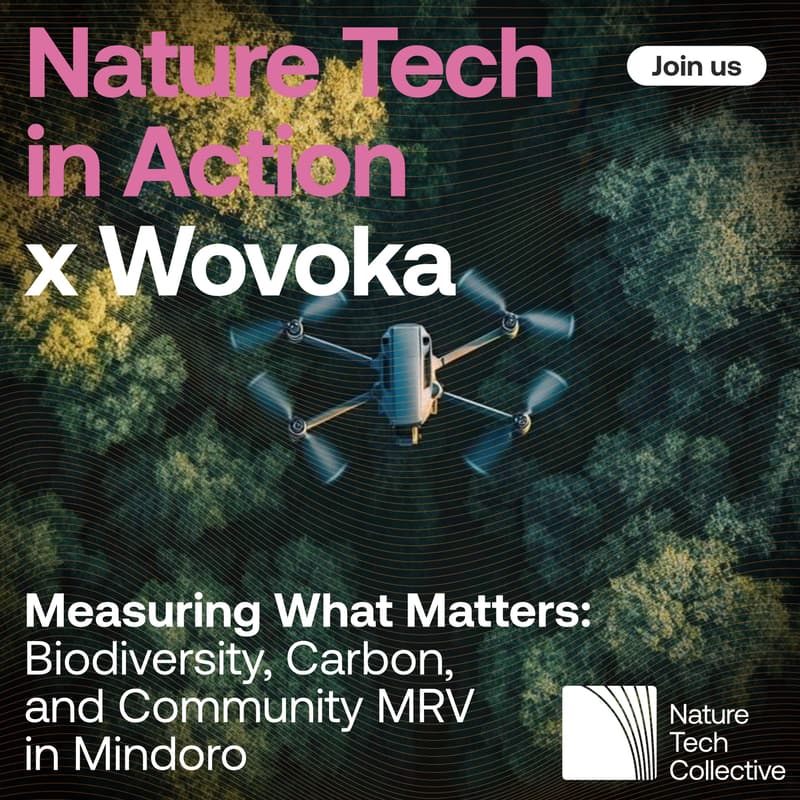 Cover Image for Measuring What Matters: Biodiversity, Carbon, and Community MRV in Mindoro