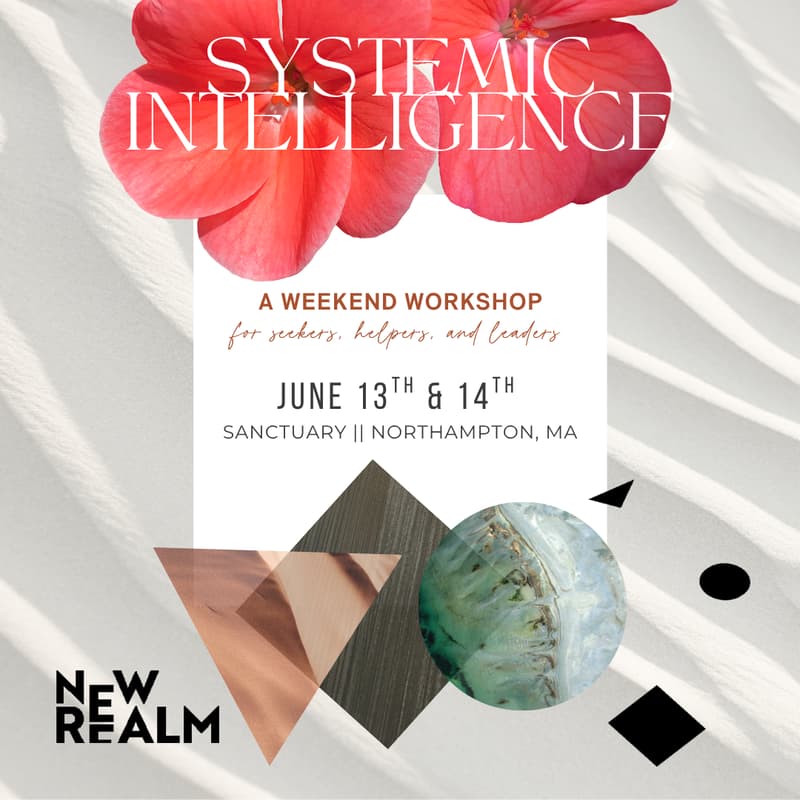 Cover Image for Family and Systemic Constellations: A Two-Day Immersion into the Deeper Intelligence of the Systems We Belong To