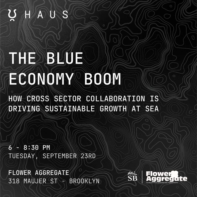 Cover Image for THE BLUE ECONOMY BOOM: How cross-sector collaboration is driving sustainable growth at sea