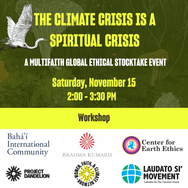 Cover Image for The climate crisis is a spiritual crisis: A multifaith Global Ethical Stocktake event