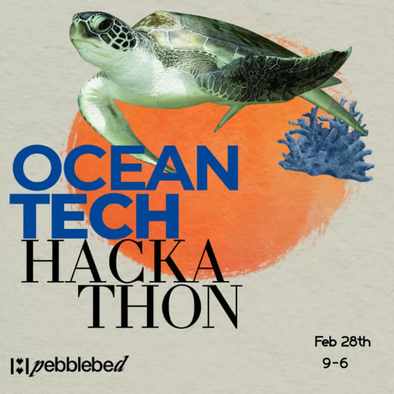 Cover Image for Lunch - Ocean Tech Hackathon Debrief: The Solutions That Were Built