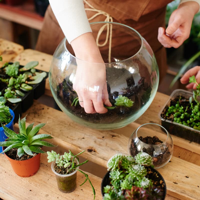Cover Image for Terrarium in a jar workshop - BYO jar