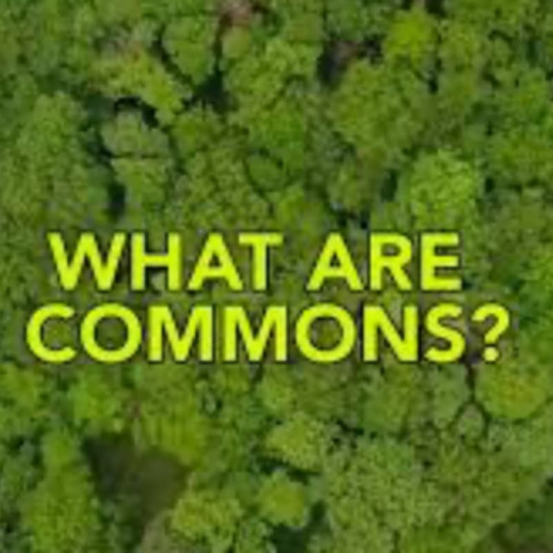 Cover Image for Intro into commons - the commons game 🎣
