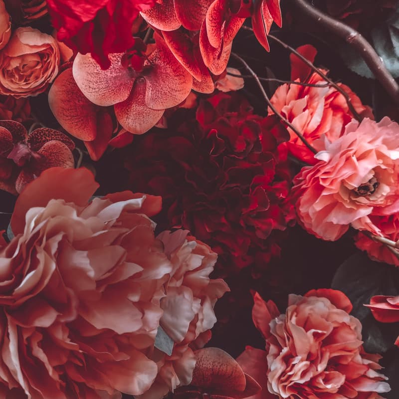 Cover Image for Paint, Sip, Sushi | Galentines