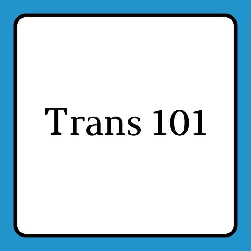 Cover Image for Trans 101