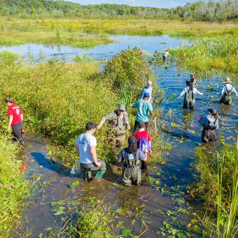 Cover Image for Environmental Science and Technology Climate Solutions Showcase