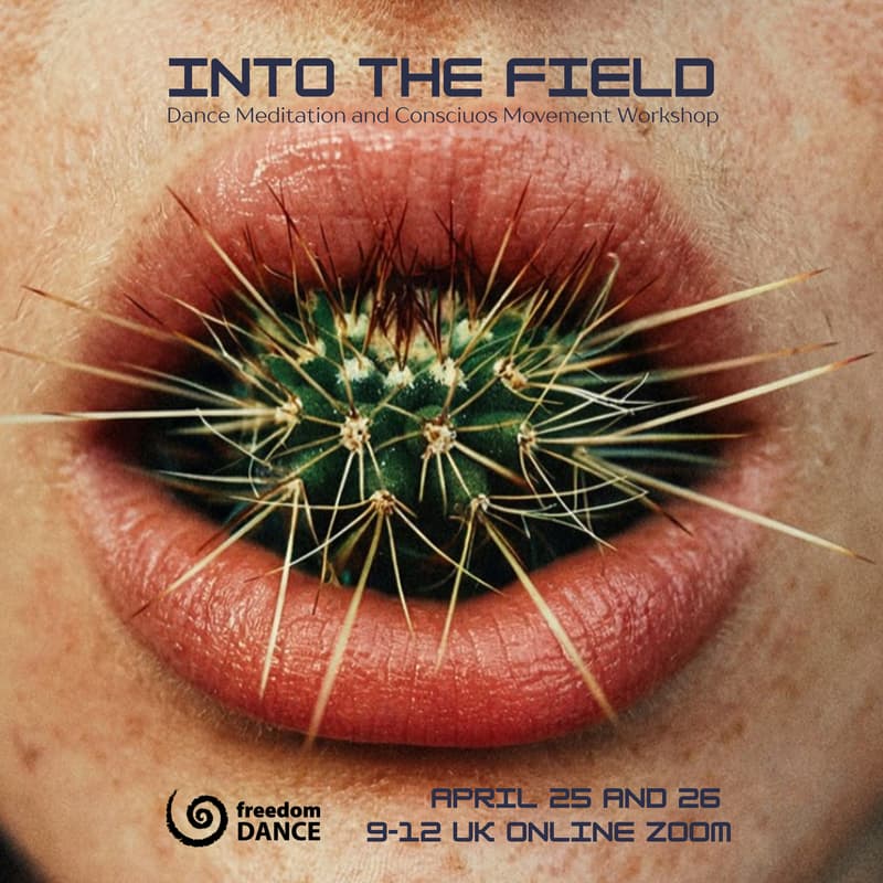 Cover Image for Into the Field: dance meditation and conscious movement workshop